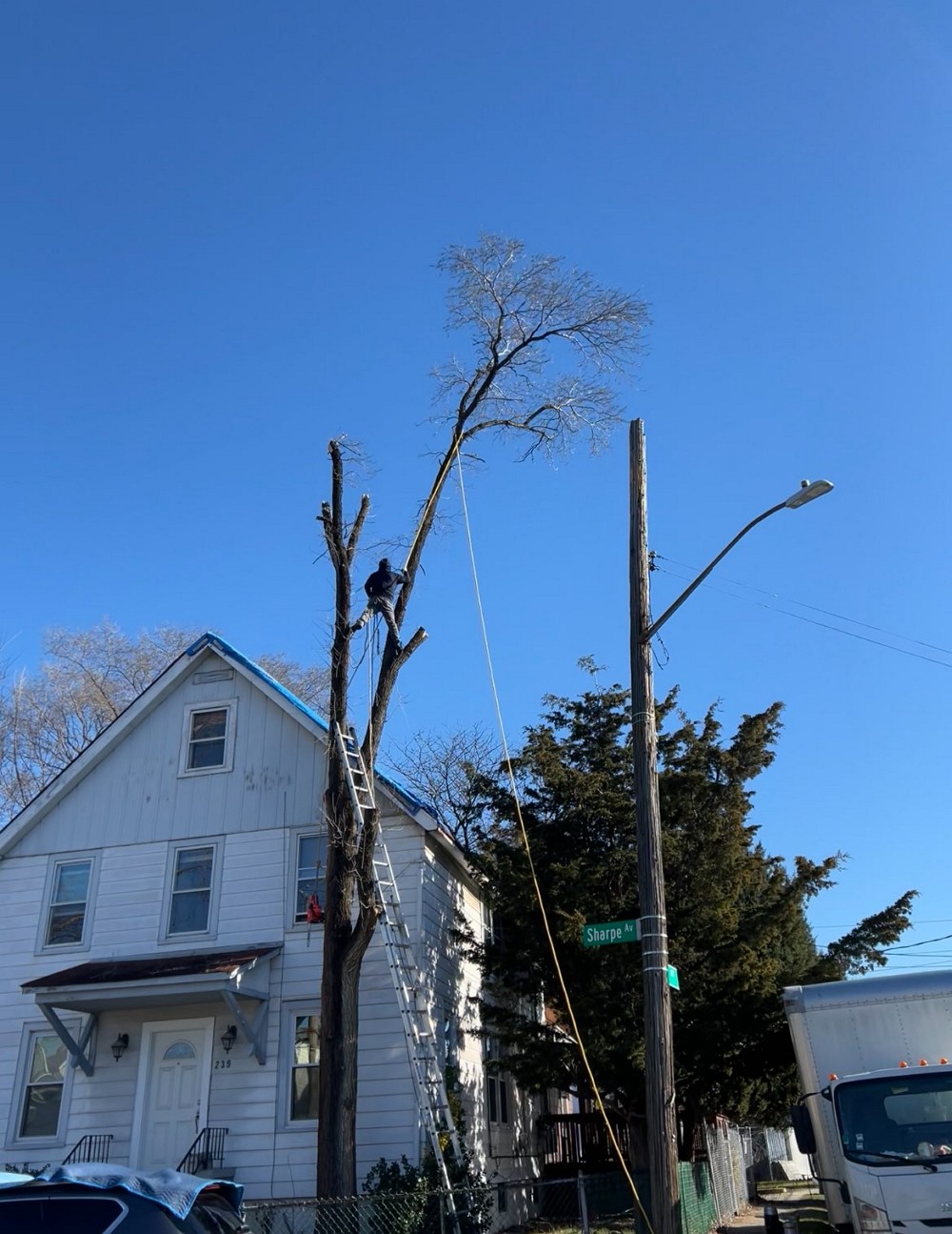 纽约艺美园林公司 园林管理