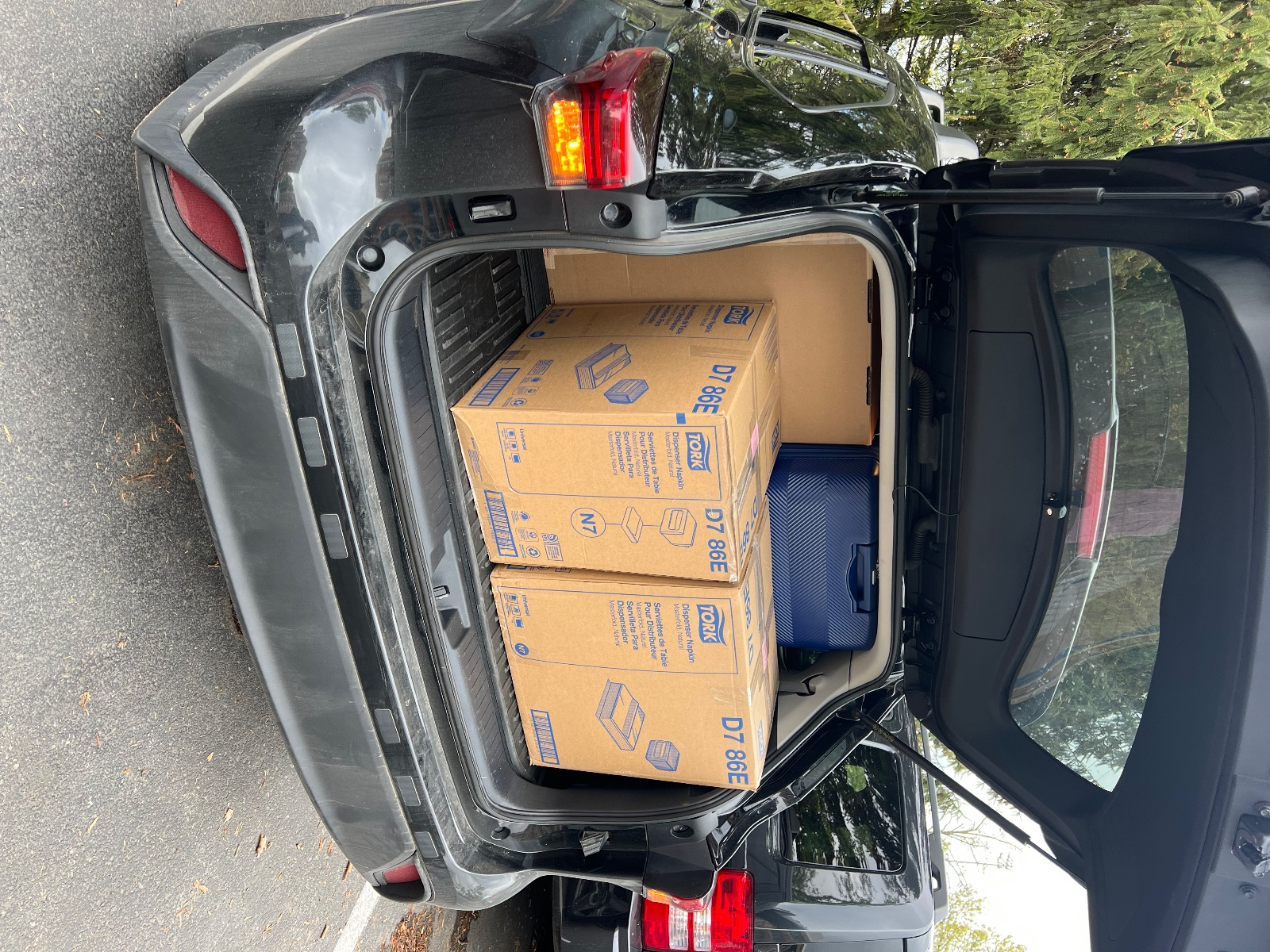 清洁卫生，波士顿做卫生， 波士顿保姆-管家-月嫂-保洁