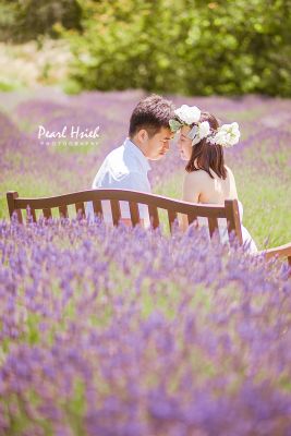 Pearl Hsieh 舊金山婚紗婚禮City Hall公證攝影 孕媽咪 寶寶寫真服務