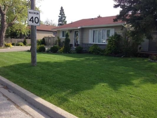 美国纽约诚信园艺公司 庭院设计施工