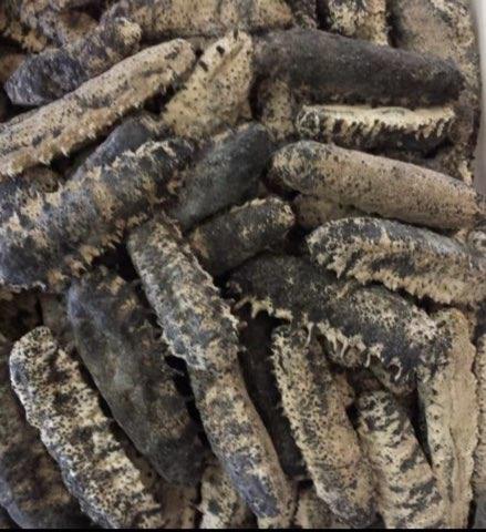 康利海味參茸行