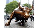 华尔街铜牛 - Charging Bull