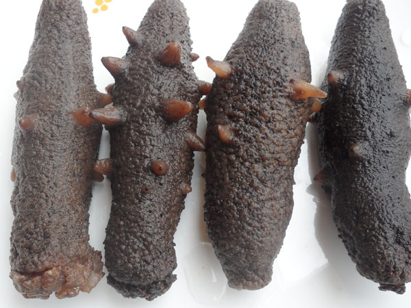 玄瀝海產批發公司