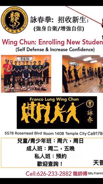 天普龍氏詠春拳