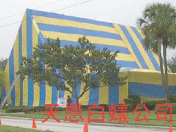 天恩白蟻殺蟲公司