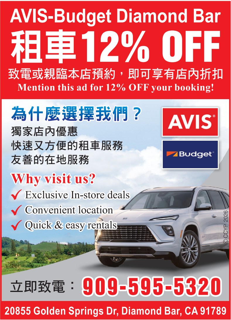 價廉租車公司