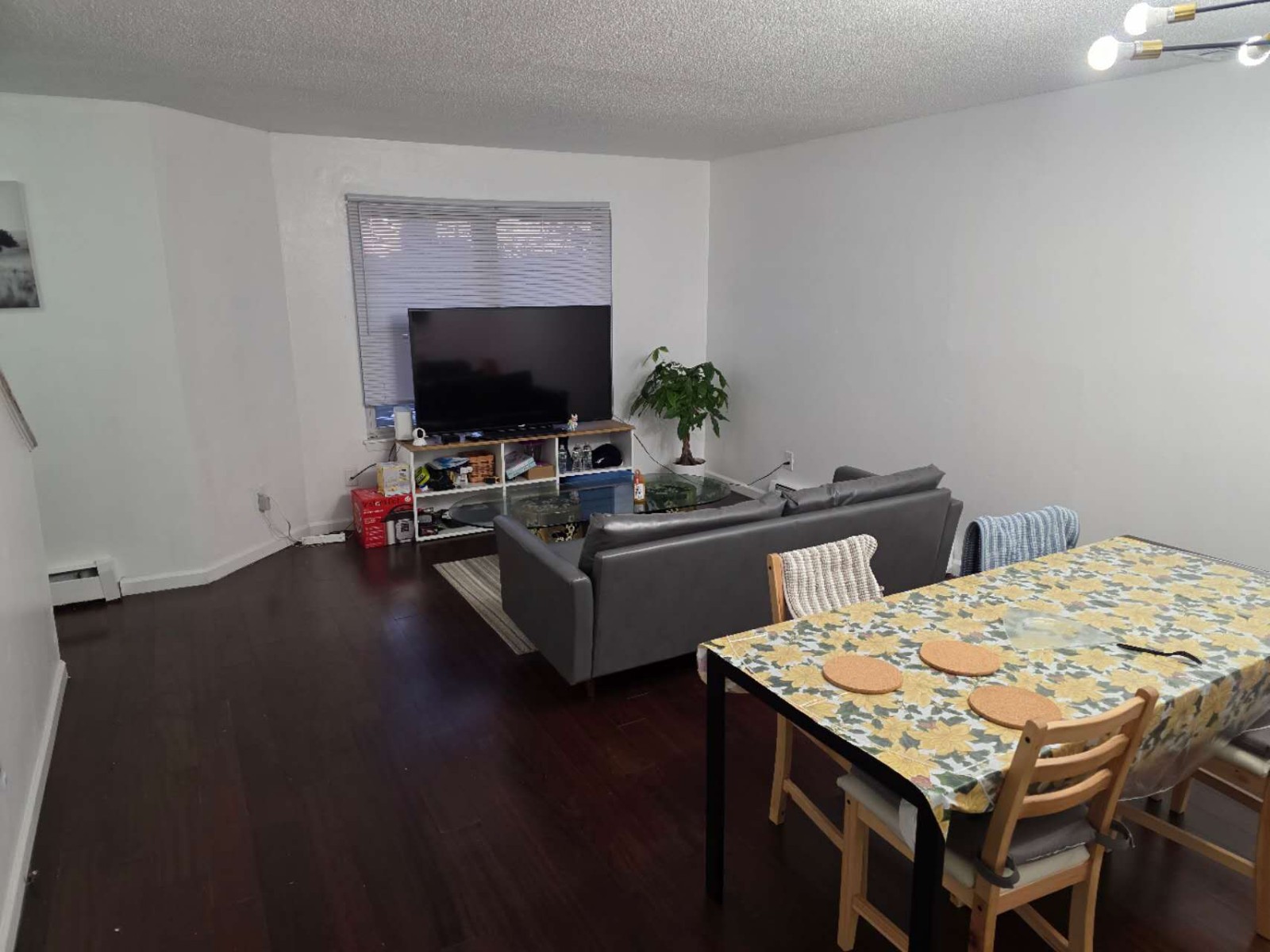 纽黑文下城单间出租