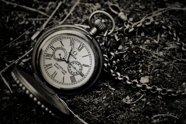 欧米茄怀表1882多少种