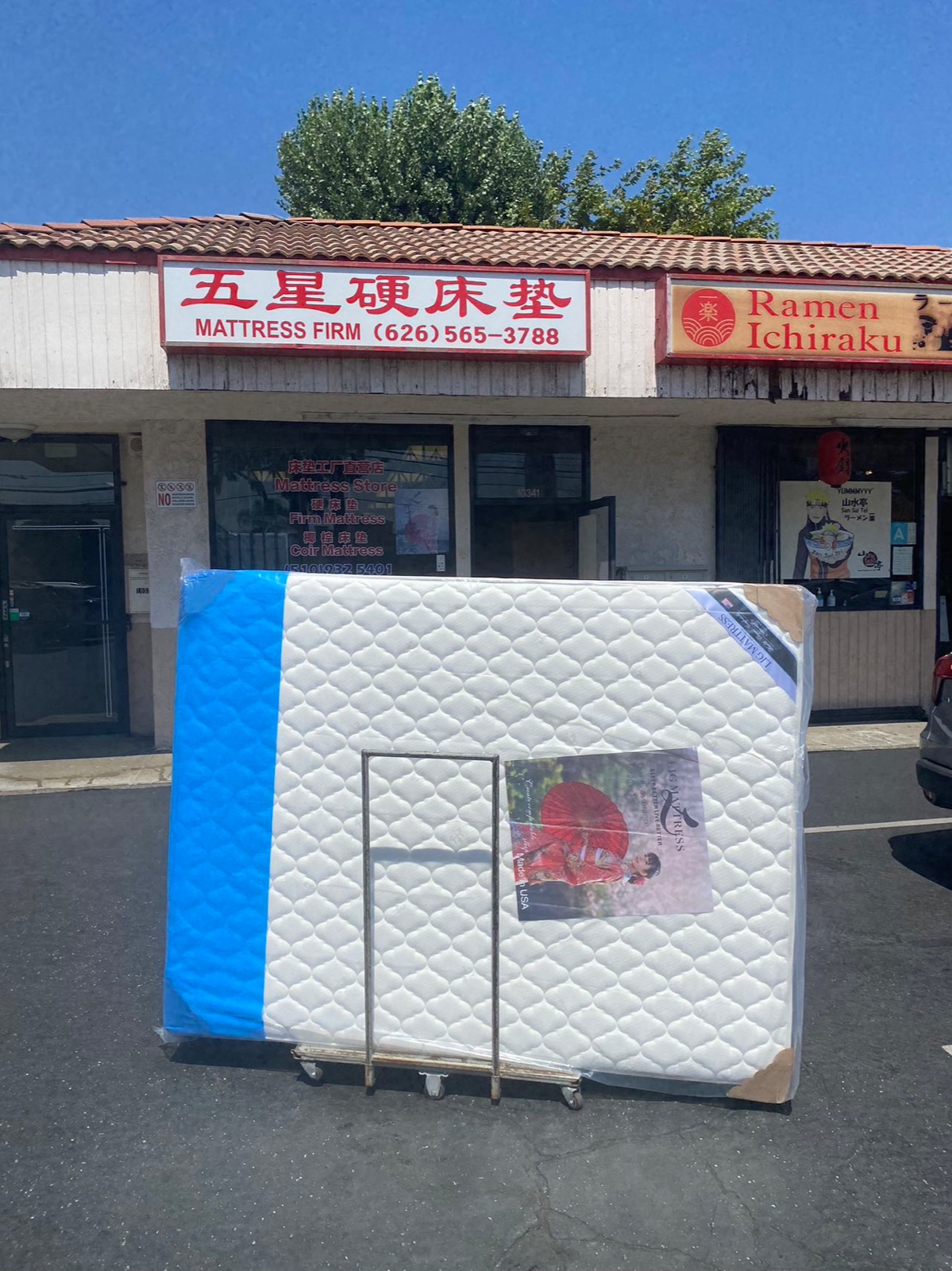 美国华人为何都选择椰棕硬床垫？