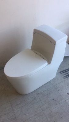 One Piece Toilet