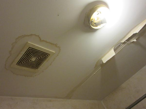 阳光房屋检验, 有二十多年经验和最先进仪器, 检验房屋, 公