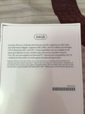 國際版 iPhone 6 金色 64GB 760