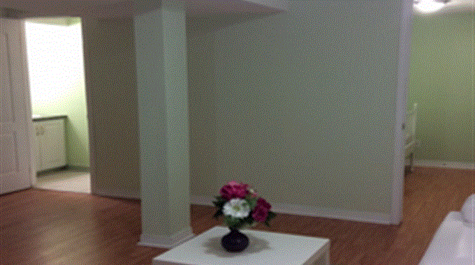 法拉盛中心2房1厅1.5浴 或 1房1厅1浴