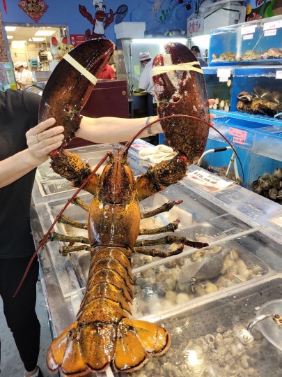 ✈✈小王电召车✈✈24小时竭诚为您服务9295560789