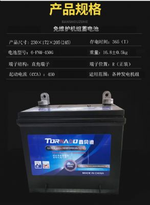 发电机组电池6-FNM-450G