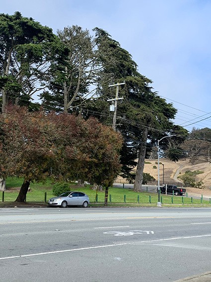 旧金山楼上二楼大房出租, 公车或停车方便