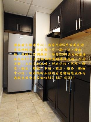 现在波士顿市中心，有个425平方英尺漂亮高档时尚一室