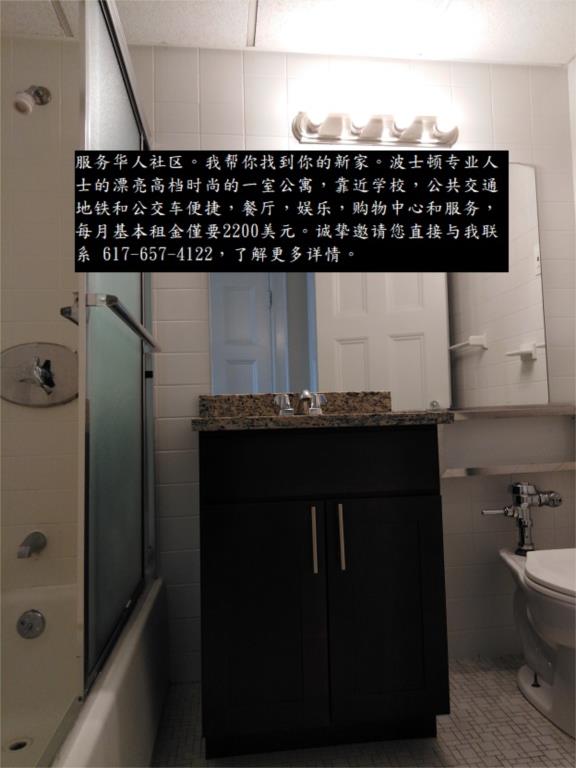 波士顿专业人士的漂亮高档时尚的一室公寓靠近学校