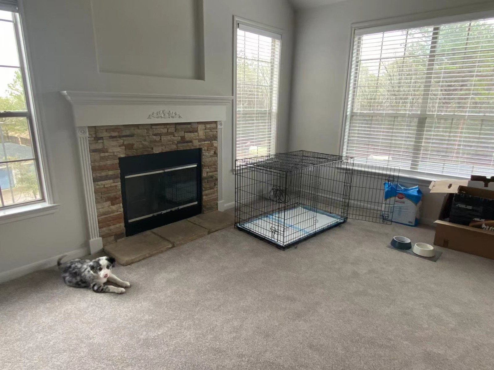 Willowbrook nearby 2b2b sublet the entire building with free furniture