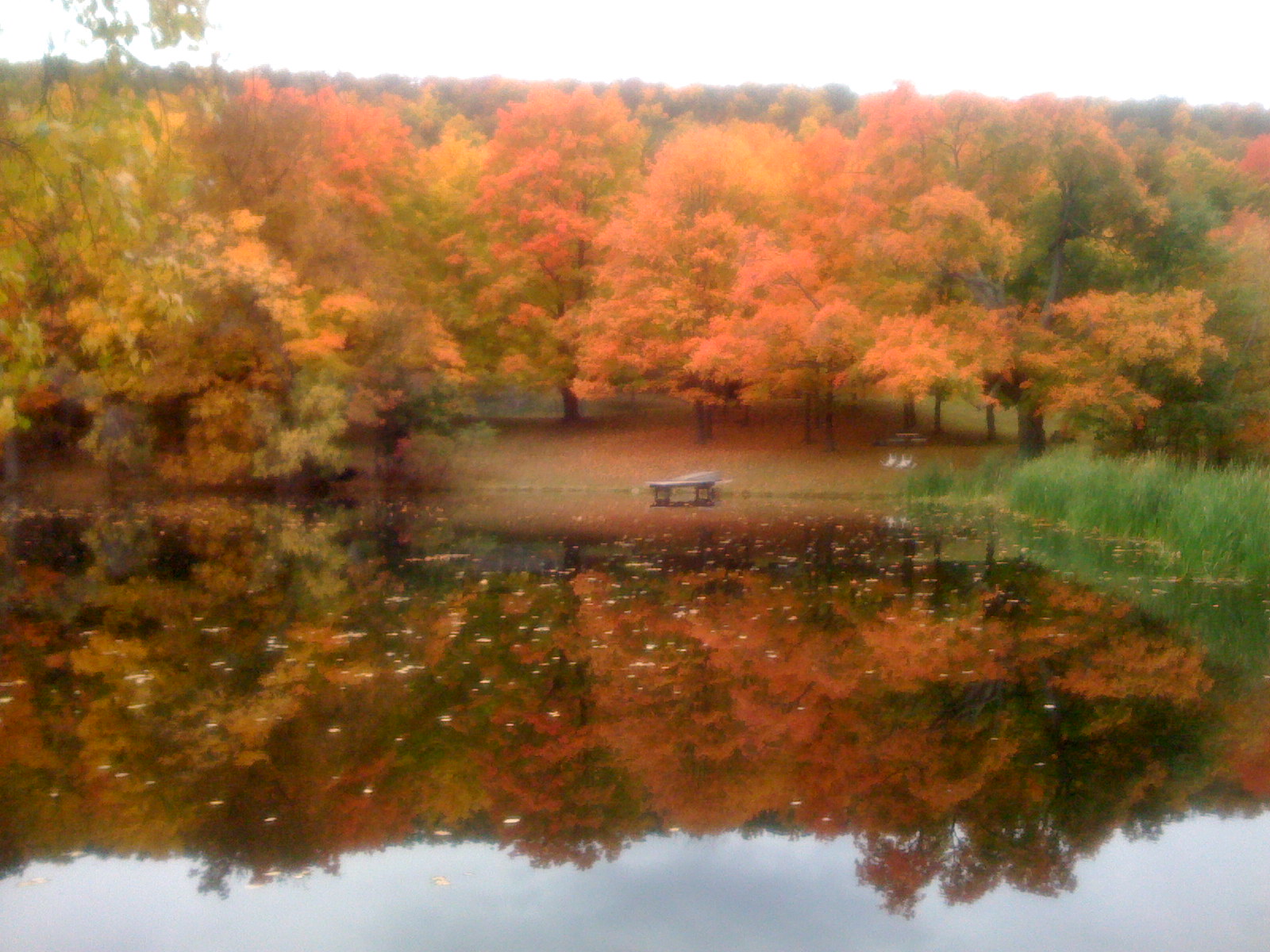 Fishing, hunting, growing fruits and vegetables, New Jersey Ranch and Forestry Vacation Rental