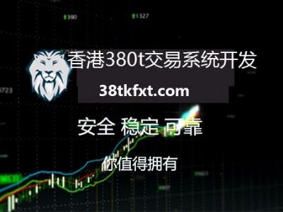 380t professional peer-to-peer trading system R&D team