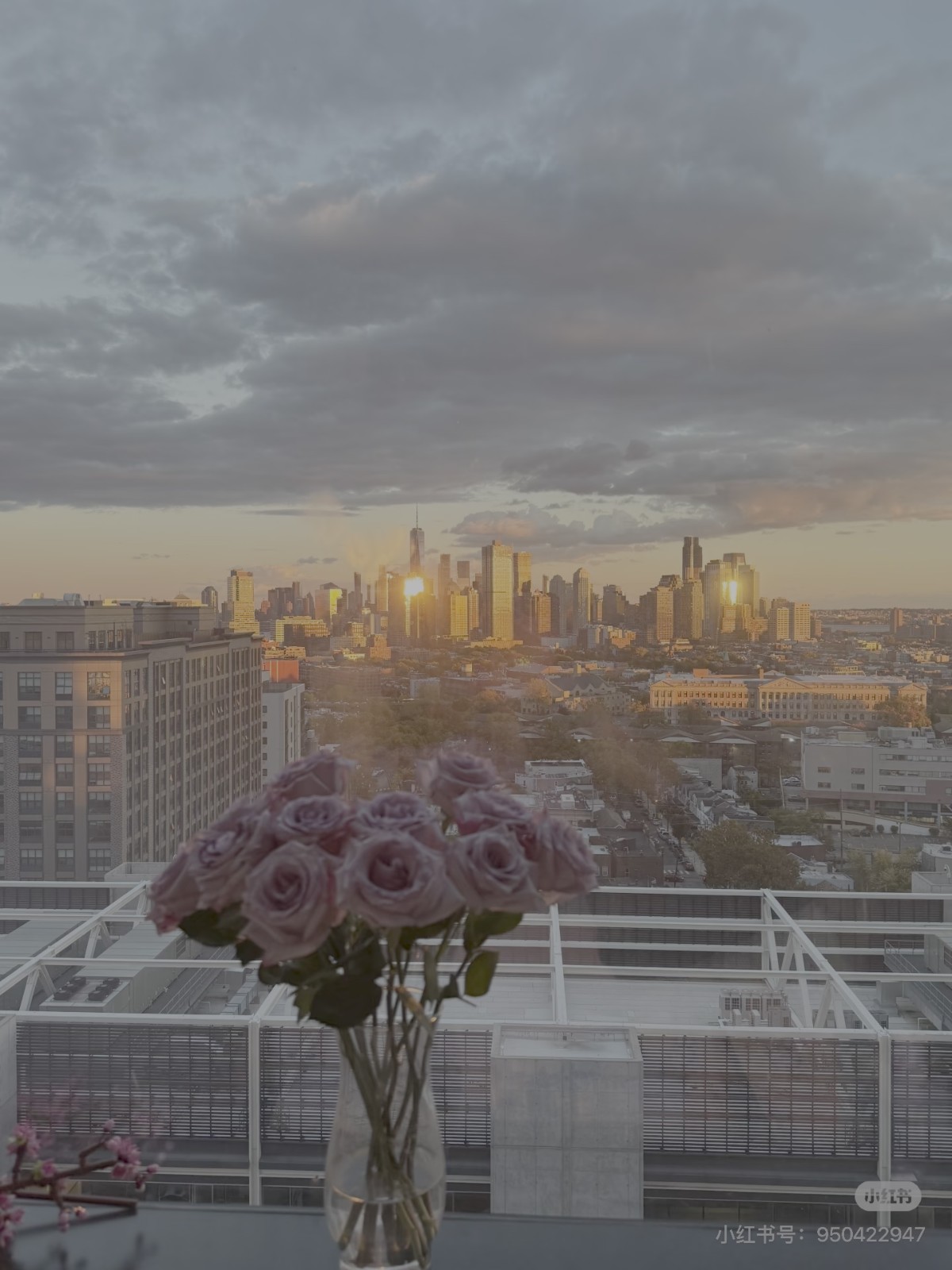 Studio sublet near Jersey City JSQ